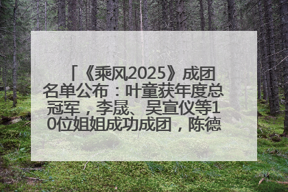 《乘风2025》成团名单公布：叶童获年度总冠军，李晟、吴宣仪等10位姐姐成功成团，陈德容获年度高光人物