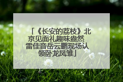 《长安的荔枝》北京见面礼趣味盎然 雷佳音岳云鹏现场认领卧龙凤雏