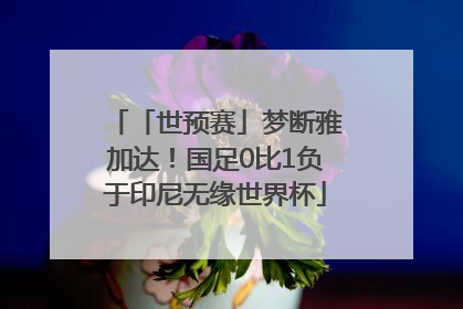 「世预赛」梦断雅加达！国足0比1负于印尼无缘世界杯