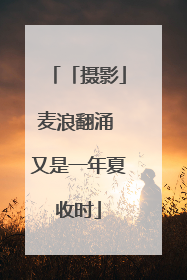 「摄影」麦浪翻涌 又是一年夏收时
