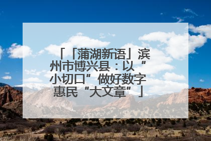 「蒲湖新语」滨州市博兴县：以“小切口”做好数字惠民“大文章”
