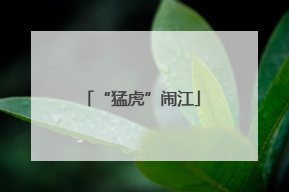 “猛虎”闹江