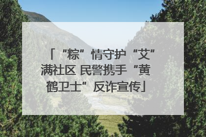 “粽”情守护“艾”满社区 民警携手“黄鹤卫士”反诈宣传