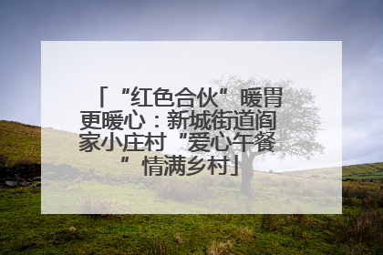 “红色合伙”暖胃更暖心：新城街道阎家小庄村“爱心午餐”情满乡村