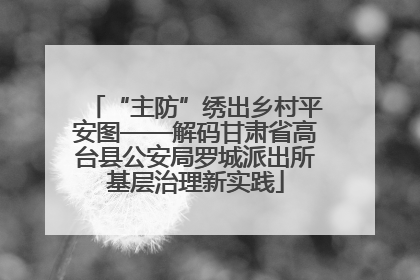 “主防”绣出乡村平安图——解码甘肃省高台县公安局罗城派出所基层治理新实践