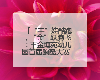 “丰”娃酷跑，“金”跃腾飞：丰金博苑幼儿园首届跑酷大赛落幕