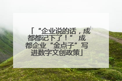 “企业说的话，成都都记下了！” 成都企业“金点子”写进数字文创政策