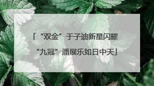 “双金”于子迪新星闪耀 “九冠”潘展乐如日中天