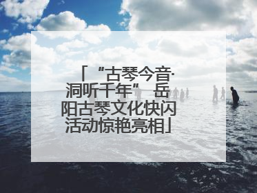 “古琴今音·洞听千年” 岳阳古琴文化快闪活动惊艳亮相