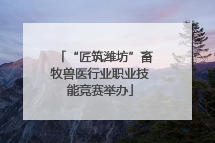 “匠筑潍坊”畜牧兽医行业职业技能竞赛举办
