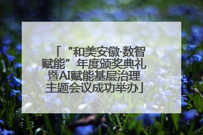 “和美安徽·数智赋能”年度颁奖典礼暨AI赋能基层治理主题会议成功举办