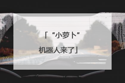 “小萝卜”机器人来了