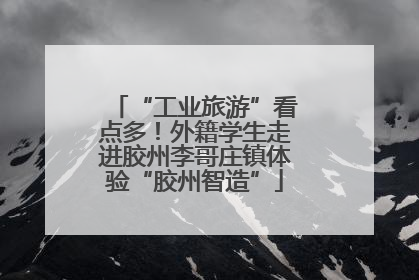 “工业旅游”看点多！外籍学生走进胶州李哥庄镇体验“胶州智造”