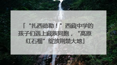 “扎西德勒！”西藏中学的孩子们遇上藏族同胞，“高原红石榴”绽放荆楚大地