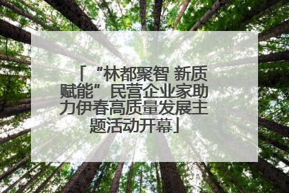 “林都聚智 新质赋能”民营企业家助力伊春高质量发展主题活动开幕