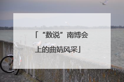 “数说”南博会上的曲靖风采