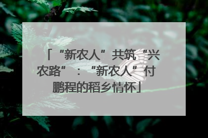 “新农人”共筑“兴农路”：“新农人”付鹏程的稻乡情怀