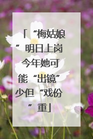 “梅姑娘”明日上岗 今年她可能“出镜”少但“戏份”重