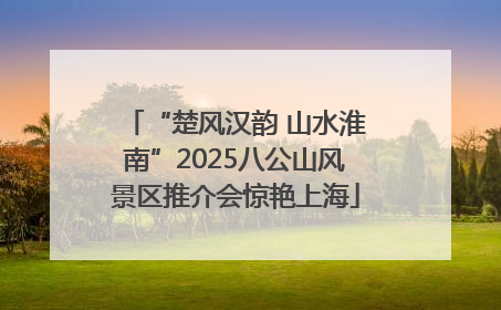 “楚风汉韵 山水淮南”2025八公山风景区推介会惊艳上海