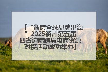 “浙跨全球品牌出海”2025衢州第五届四省边际跨境电商资源对接活动成功举办