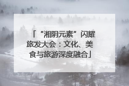 “湘阴元素”闪耀旅发大会：文化、美食与旅游深度融合