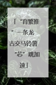“育繁推”一条龙 古交马铃薯“芯”跳加速