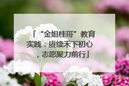 “金姐桂哥”教育实践：赓续禾下初心，志愿聚力前行