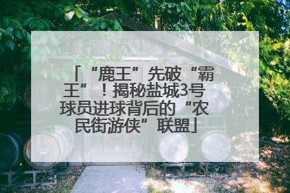 “鹿王”先破“霸王”！揭秘盐城3号球员进球背后的“农民街游侠”联盟
