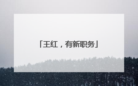 王红，有新职务