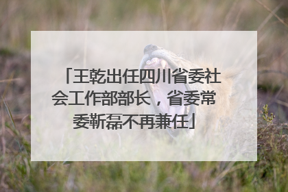 王乾出任四川省委社会工作部部长，省委常委靳磊不再兼任