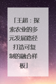 王超：探索农业的多元发展路径 打造可复制的融合样板