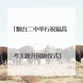烟台二中举行祝福高考主题升国旗仪式