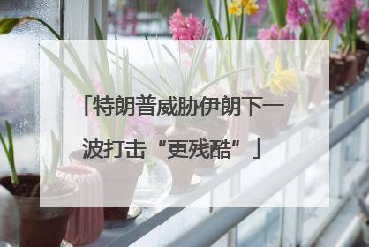 特朗普威胁伊朗下一波打击“更残酷”