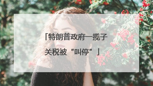 特朗普政府一揽子关税被“叫停”