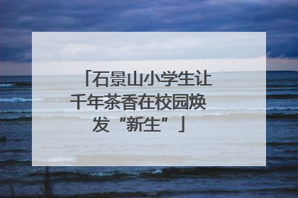 石景山小学生让千年茶香在校园焕发“新生”
