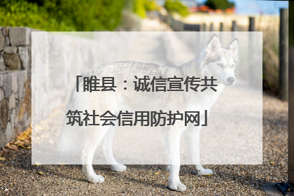 睢县：诚信宣传共筑社会信用防护网