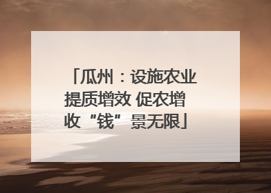 瓜州：设施农业提质增效 促农增收“钱”景无限
