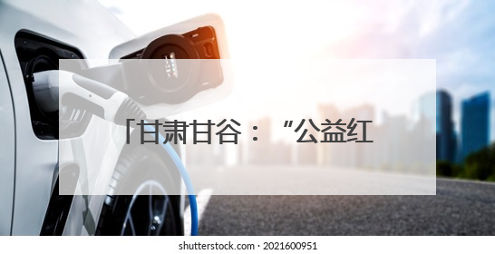 甘肃甘谷：“公益红娘”巧破高额彩礼 破规立范推广文明婚俗