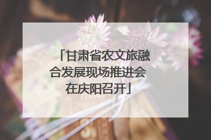甘肃省农文旅融合发展现场推进会在庆阳召开