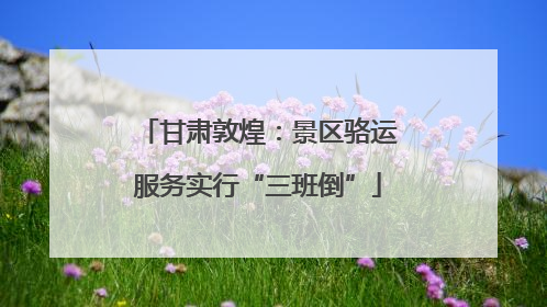 甘肃敦煌：景区骆运服务实行“三班倒”