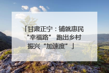 甘肃正宁：铺就惠民“幸福路” 跑出乡村振兴“加速度”