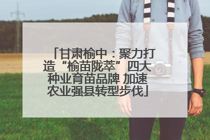 甘肃榆中：聚力打造“榆苗陇萃”四大种业育苗品牌 加速农业强县转型步伐