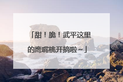 甜！脆！武平这里的鹰嘴桃开摘啦～