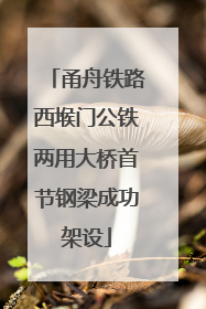 甬舟铁路西堠门公铁两用大桥首节钢梁成功架设