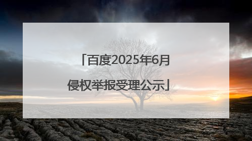 百度2025年6月侵权举报受理公示
