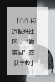 白午街道振兴社区：“微菜园”喜获丰收