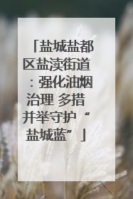 盐城盐都区盐渎街道：强化油烟治理 多措并举守护“盐城蓝”