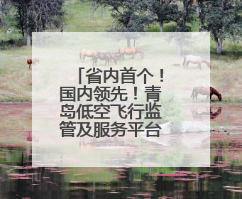 省内首个！国内领先！青岛低空飞行监管及服务平台完成部署