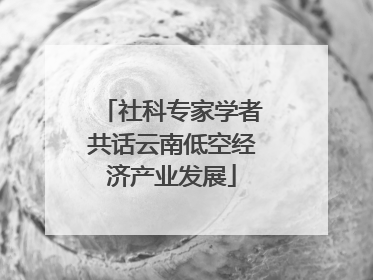 社科专家学者共话云南低空经济产业发展