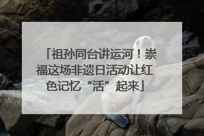 祖孙同台讲运河！崇福这场非遗日活动让红色记忆“活”起来